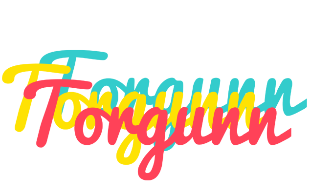 Torgunn disco logo