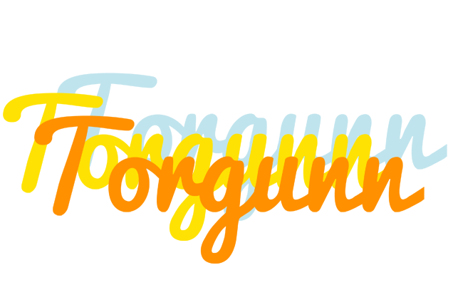 Torgunn energy logo