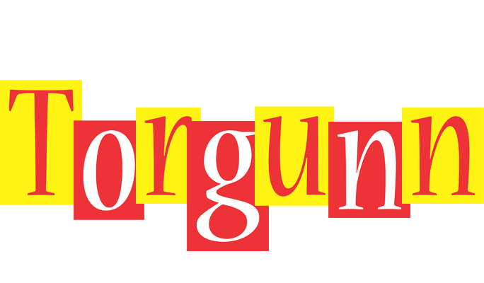 Torgunn errors logo