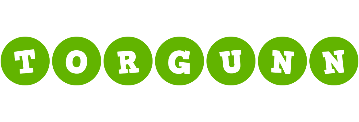 Torgunn games logo