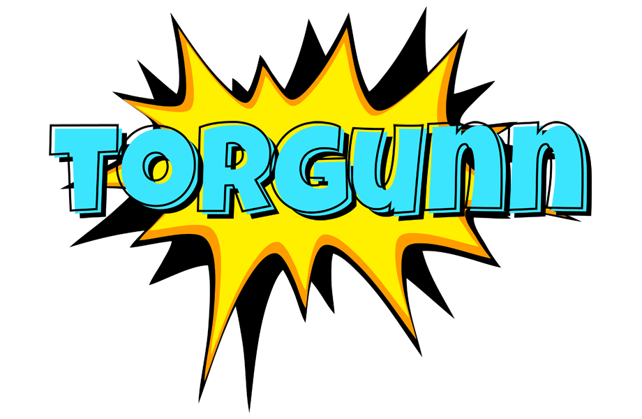Torgunn indycar logo