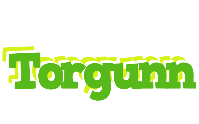 Torgunn picnic logo