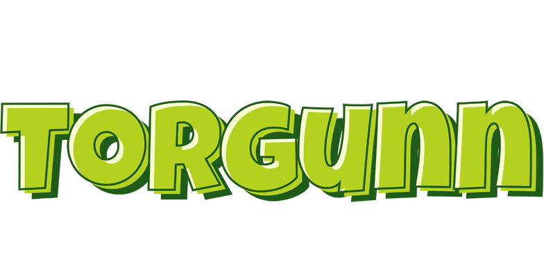 Torgunn summer logo