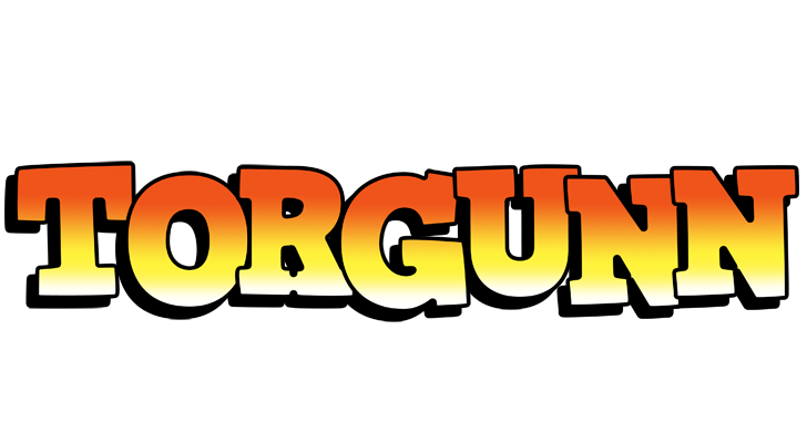 Torgunn sunset logo