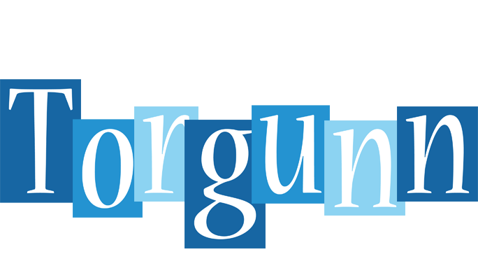 Torgunn winter logo