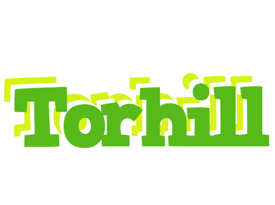 Torhill picnic logo