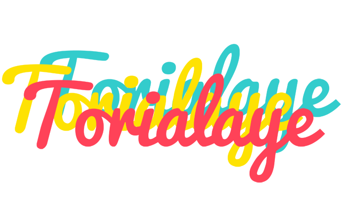 Torialaye disco logo