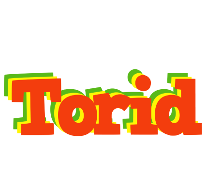 Torid bbq logo