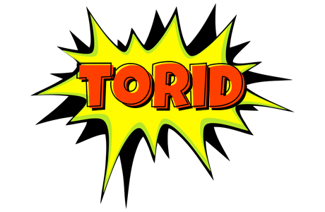 Torid bigfoot logo