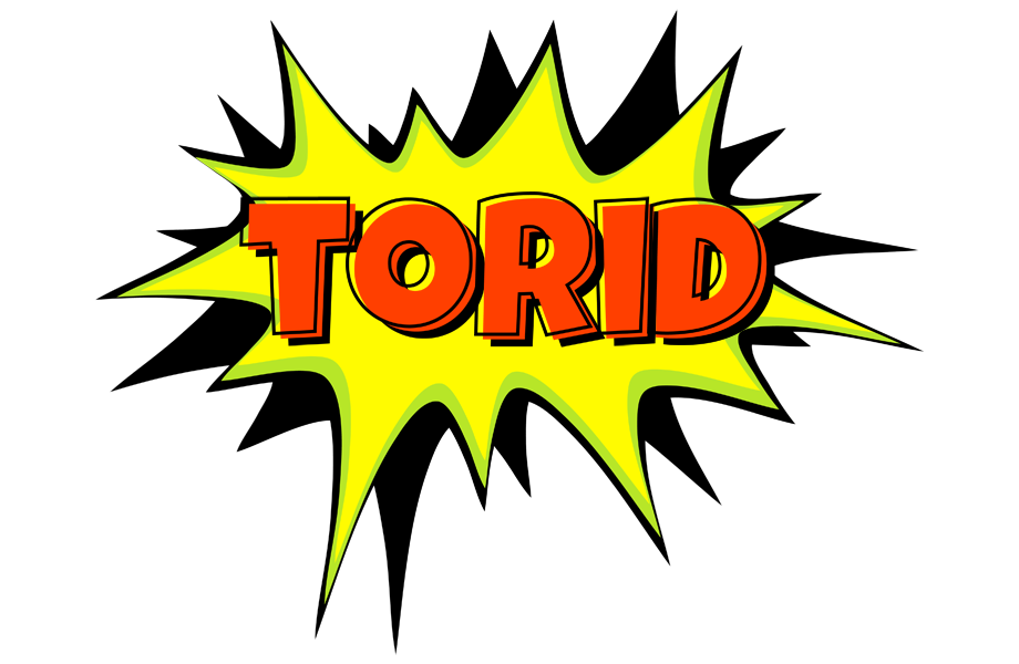 Torid bigfoot logo
