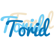 Torid breeze logo