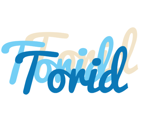 Torid breeze logo