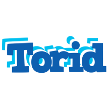 Torid business logo