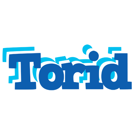 Torid business logo