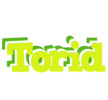 Torid citrus logo