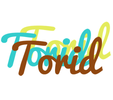 Torid cupcake logo