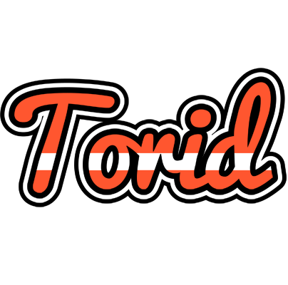 Torid denmark logo