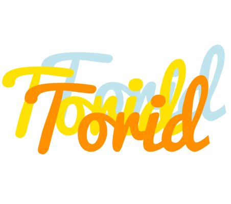 Torid energy logo