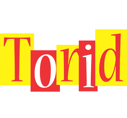 Torid errors logo
