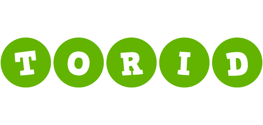 Torid games logo