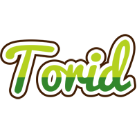 Torid golfing logo