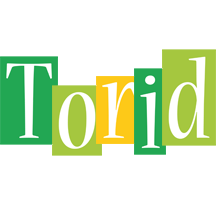 Torid lemonade logo