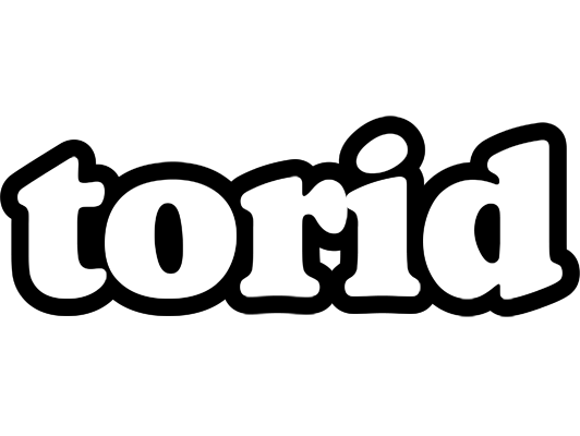 Torid panda logo