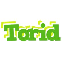 Torid picnic logo