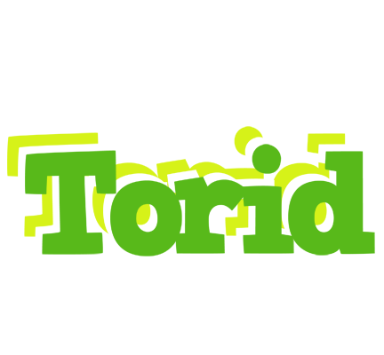 Torid picnic logo