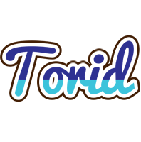 Torid raining logo