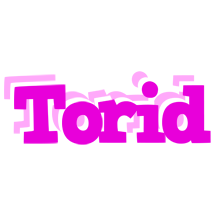 Torid rumba logo