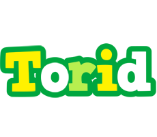 Torid soccer logo