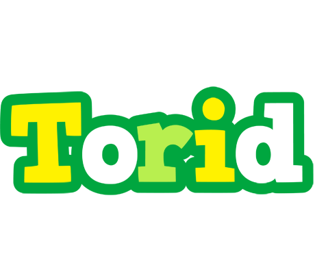 Torid soccer logo