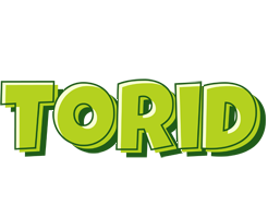 Torid summer logo