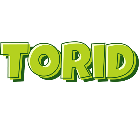 Torid summer logo