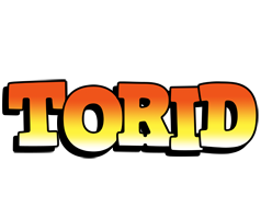 Torid sunset logo