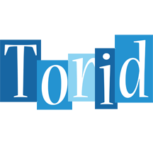 Torid winter logo