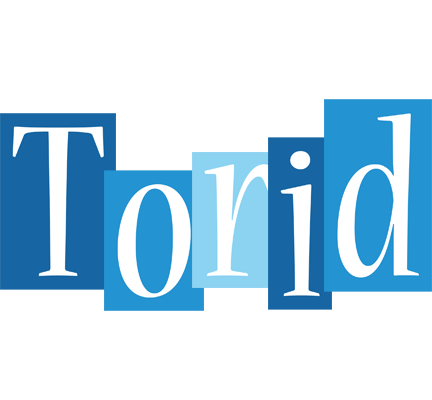 Torid winter logo