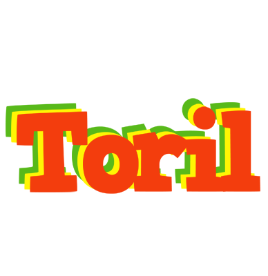 Toril bbq logo