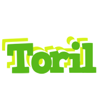 Toril picnic logo