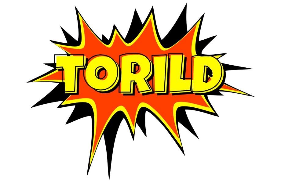 Torild bazinga logo