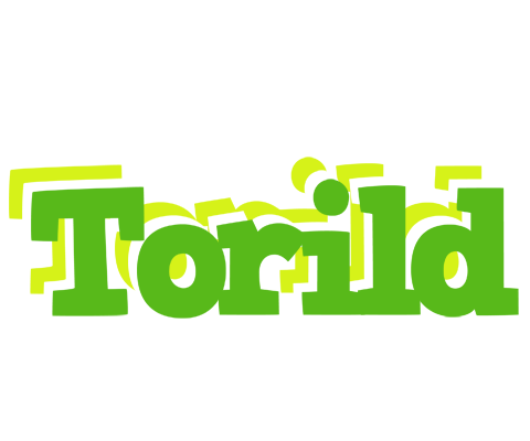 Torild picnic logo