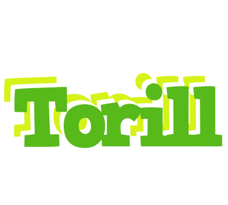 Torill picnic logo