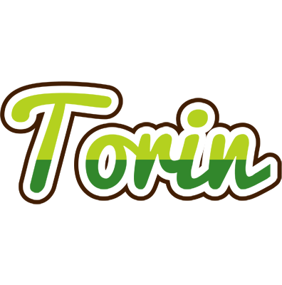 Torin golfing logo