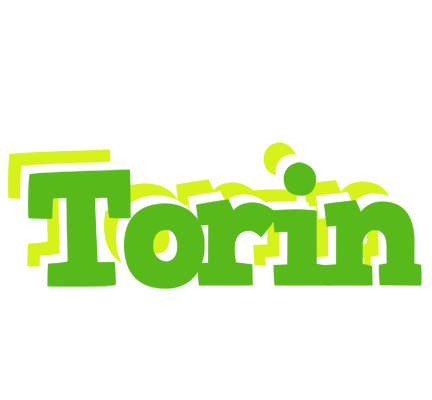Torin picnic logo