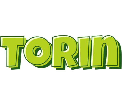 Torin summer logo