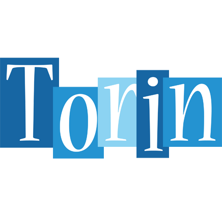 Torin winter logo