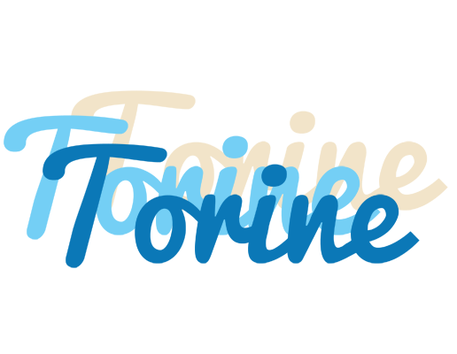 Torine breeze logo
