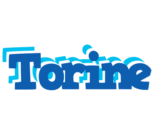 Torine business logo