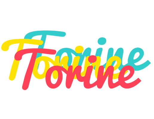 Torine disco logo